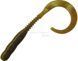 Силікон Reins Curly Curly 4" 035